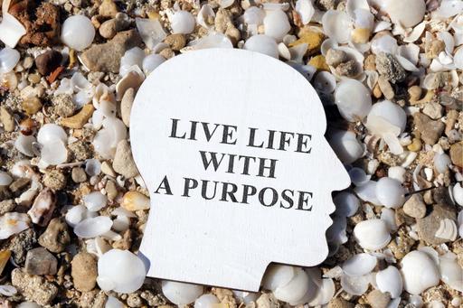 live a life with purpose text